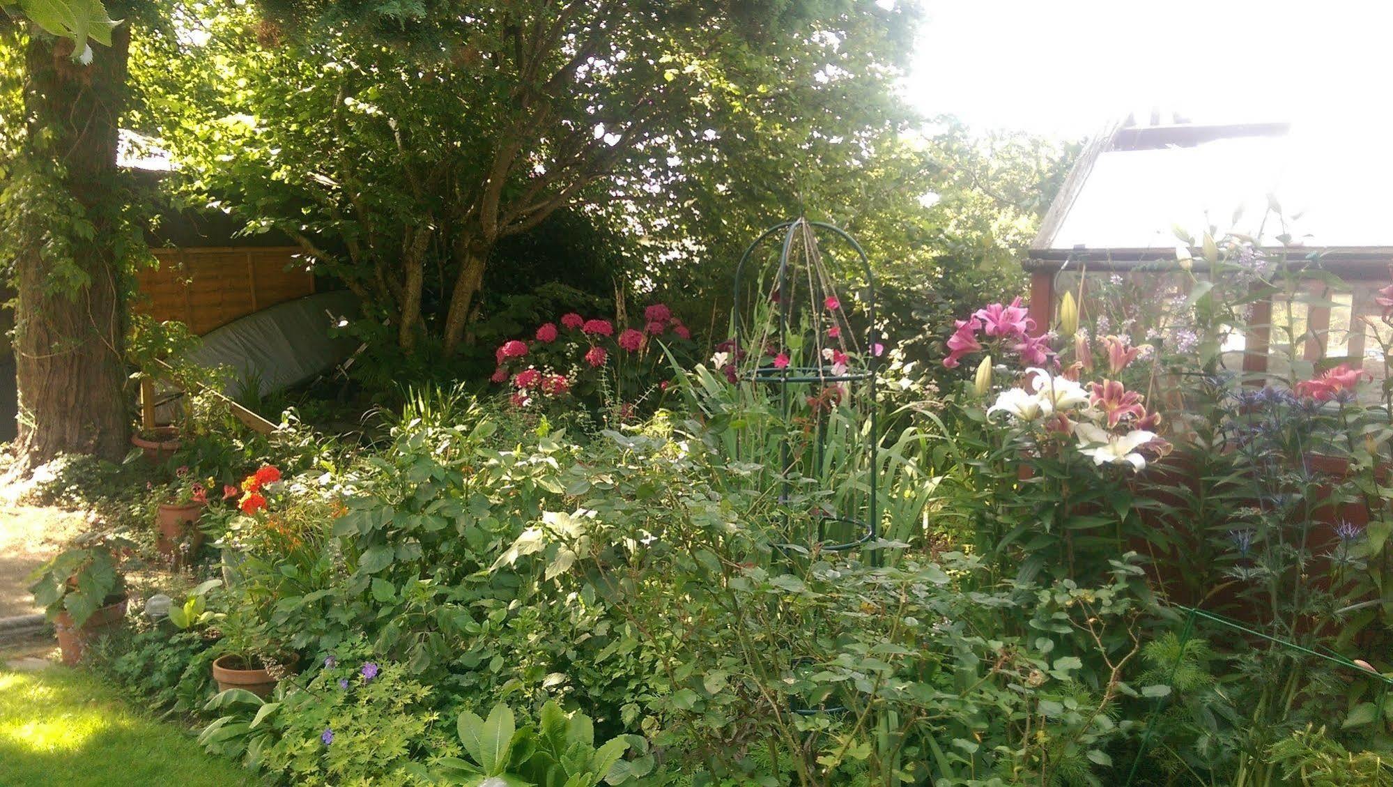 ווינדרמר Langdale View Guest House מראה חיצוני תמונה